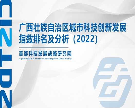 美女骑在鸡巴上大叫爽死了的视频软件【成果发布】广西壮族自治区城市科技创新发展指数排名及分析（2022）